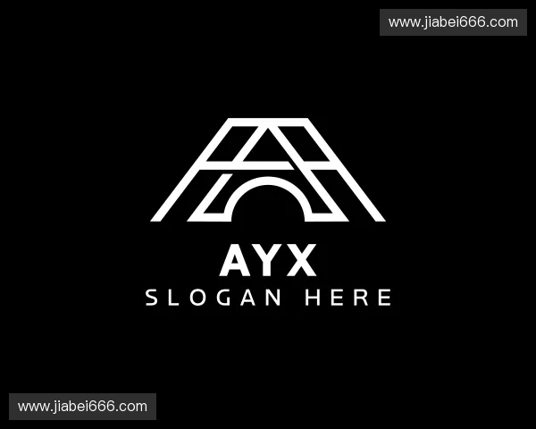 初识ayx官方